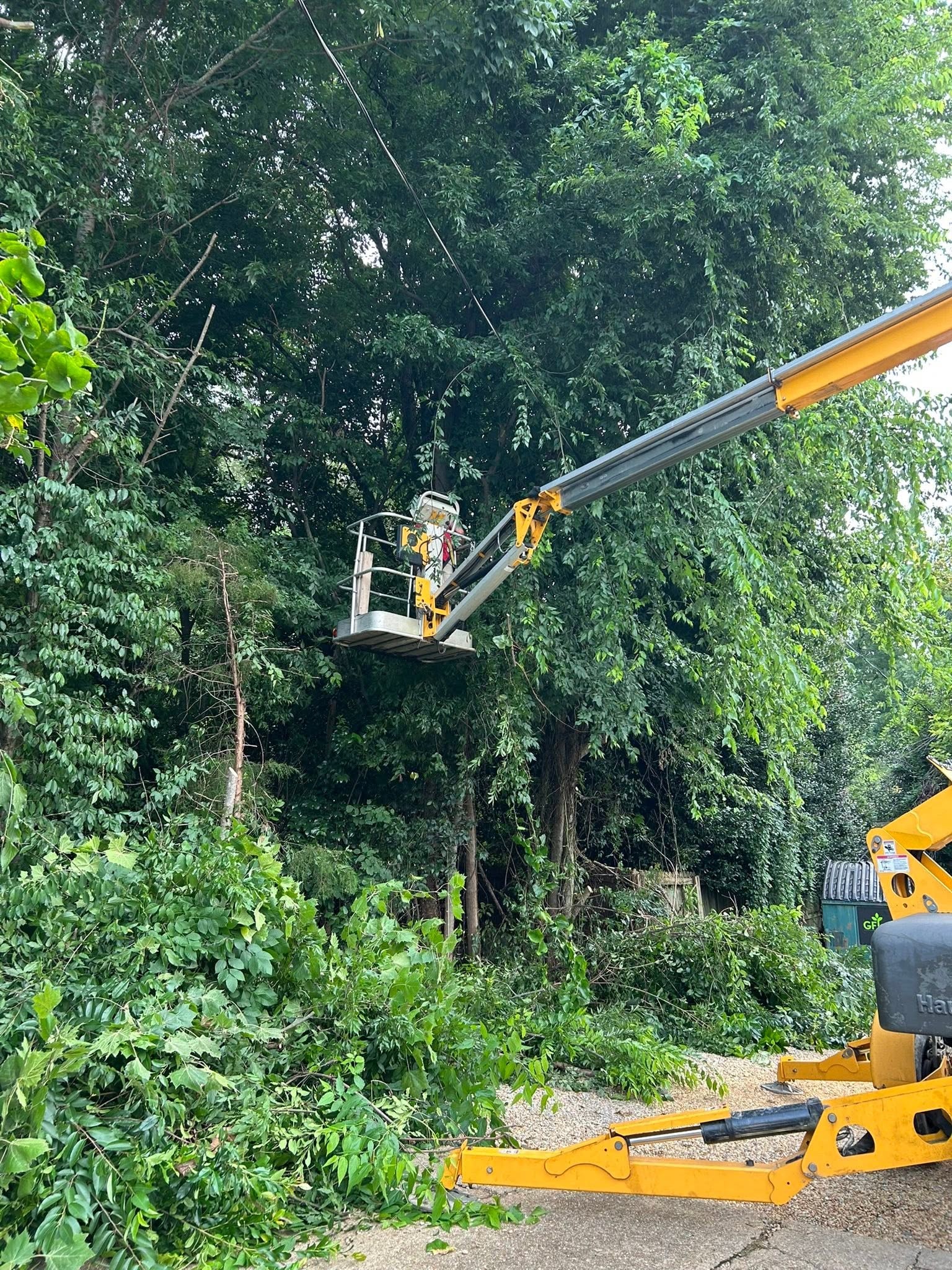 RF Services bucket lift crew trimming overgrown trees near power lines
