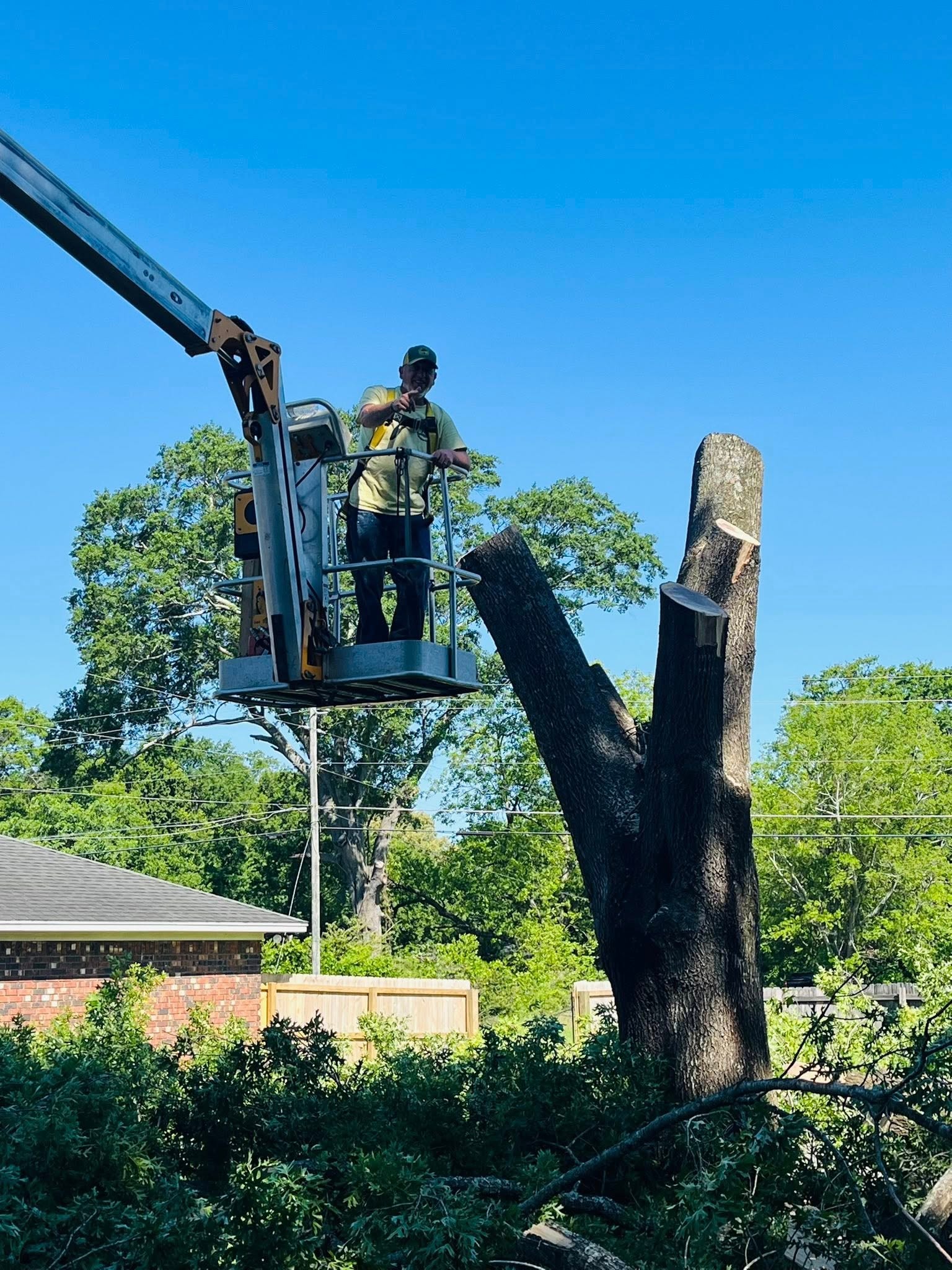 RF Services crew in bucket lift removing large tree near home