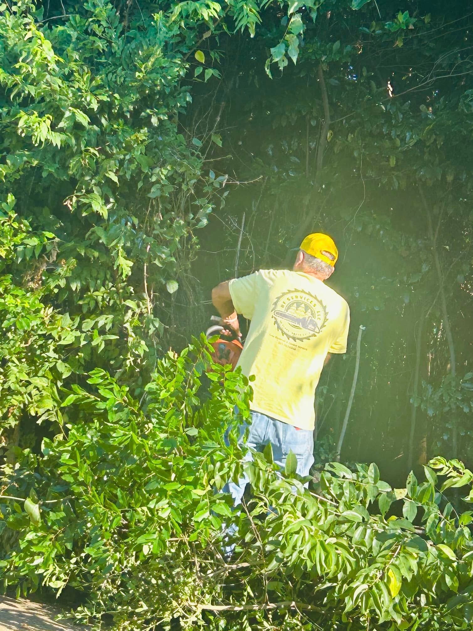 RF Services crew clearing right-of-way with chainsaw