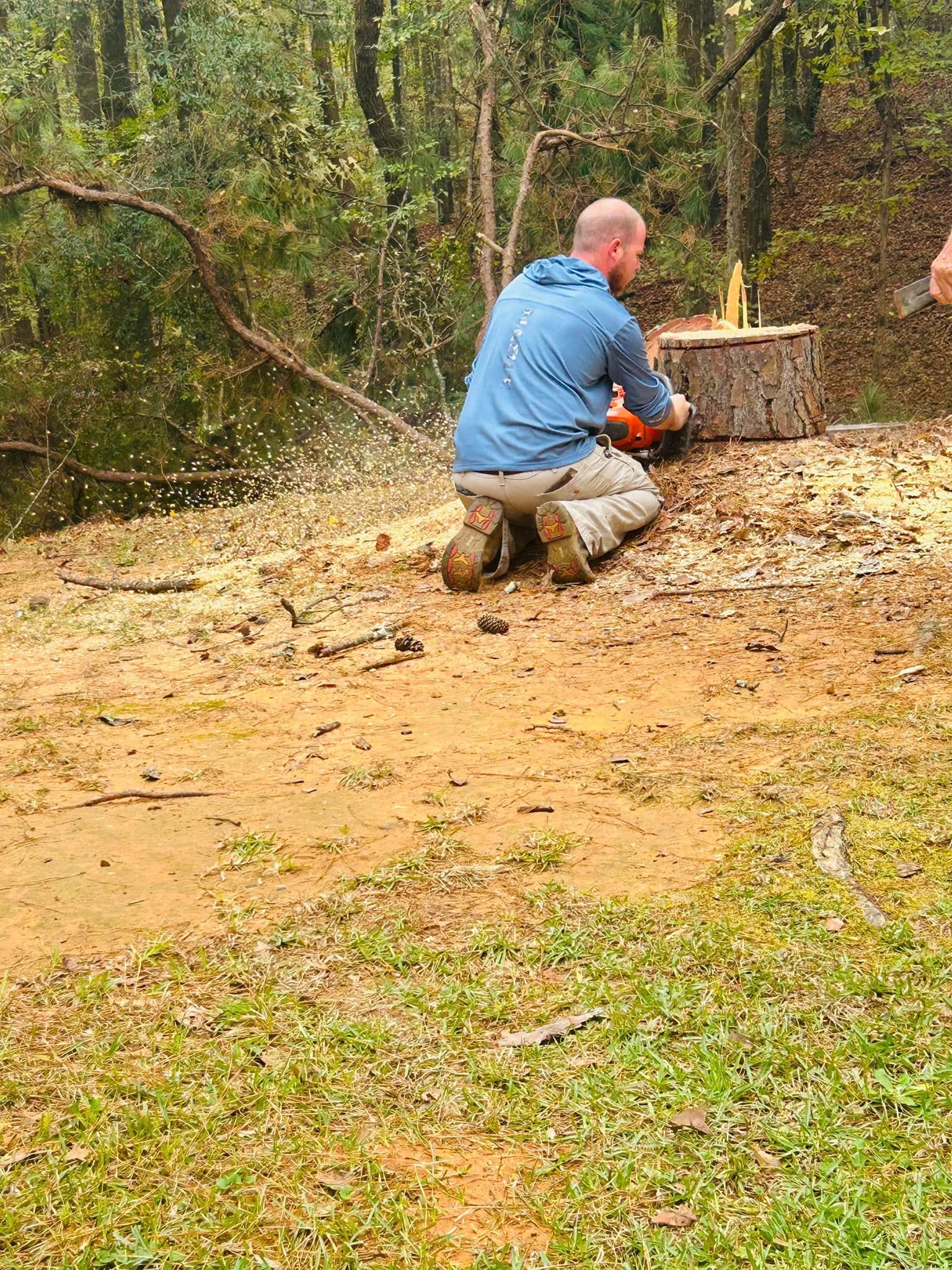 RF Services crew member chainsawing stump with sawdust flying