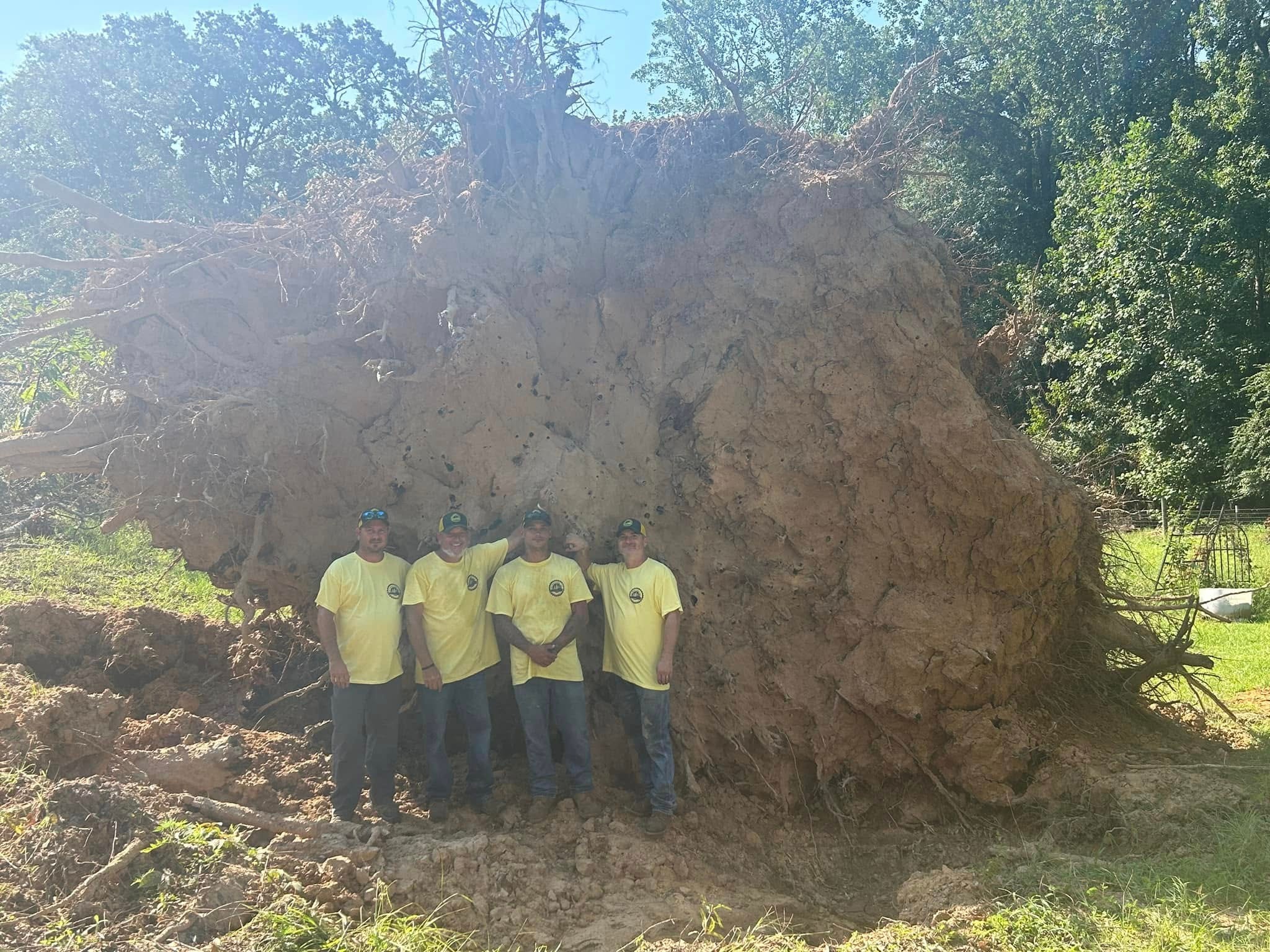 RF Services crew with massive uprooted tree rootball