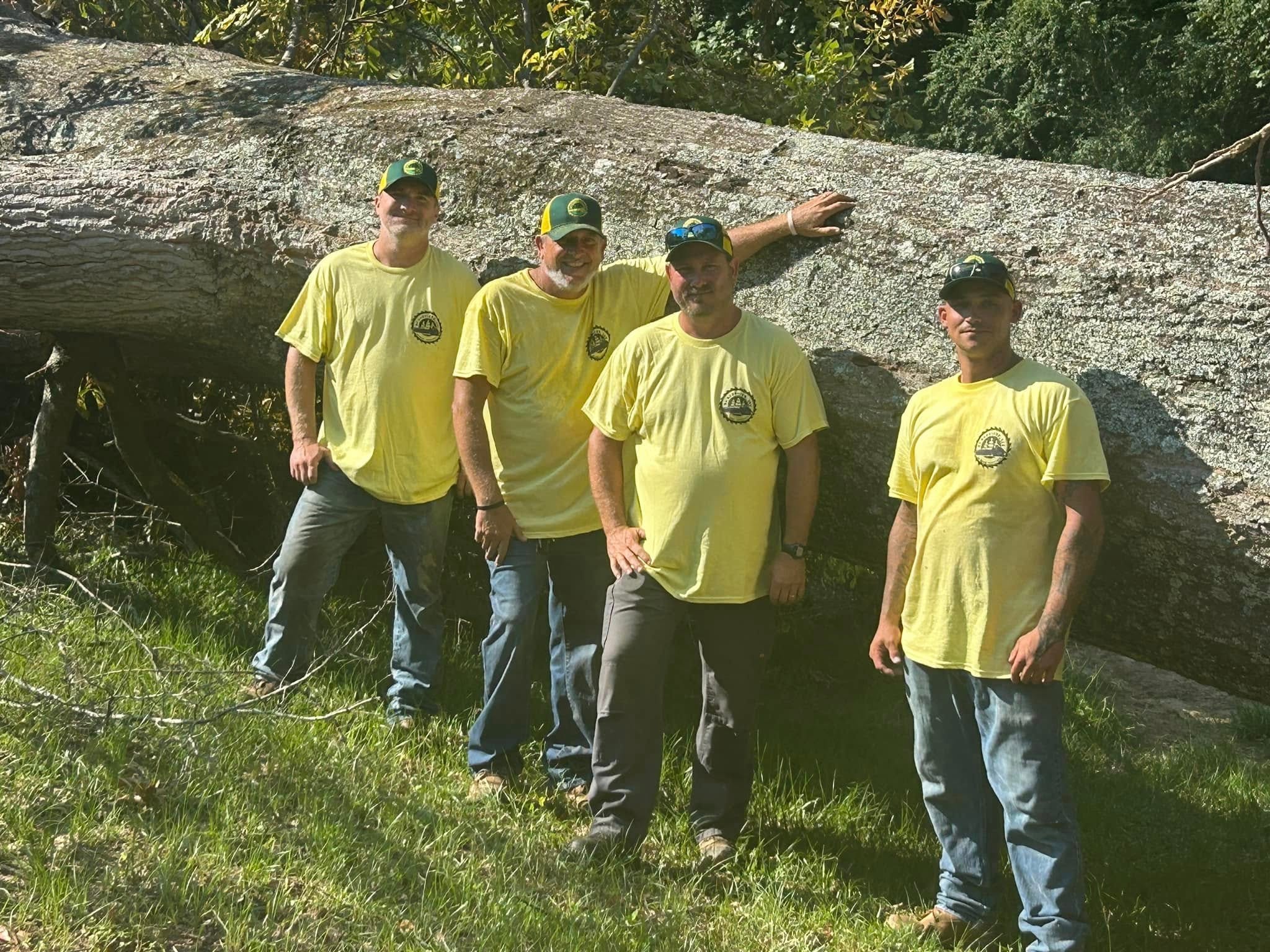 RF Services crew with large fallen tree