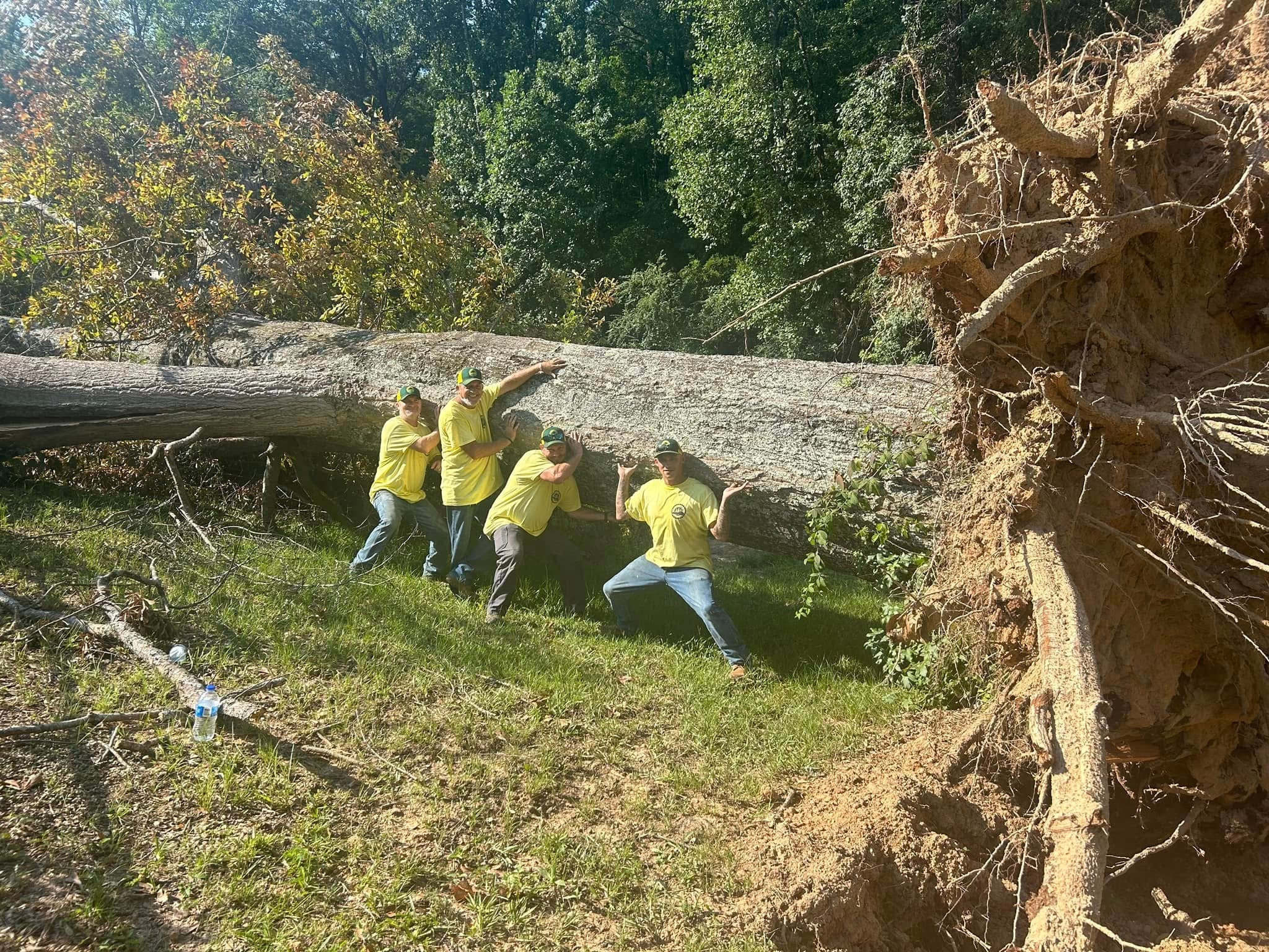RF Services crew moving large fallen tree
