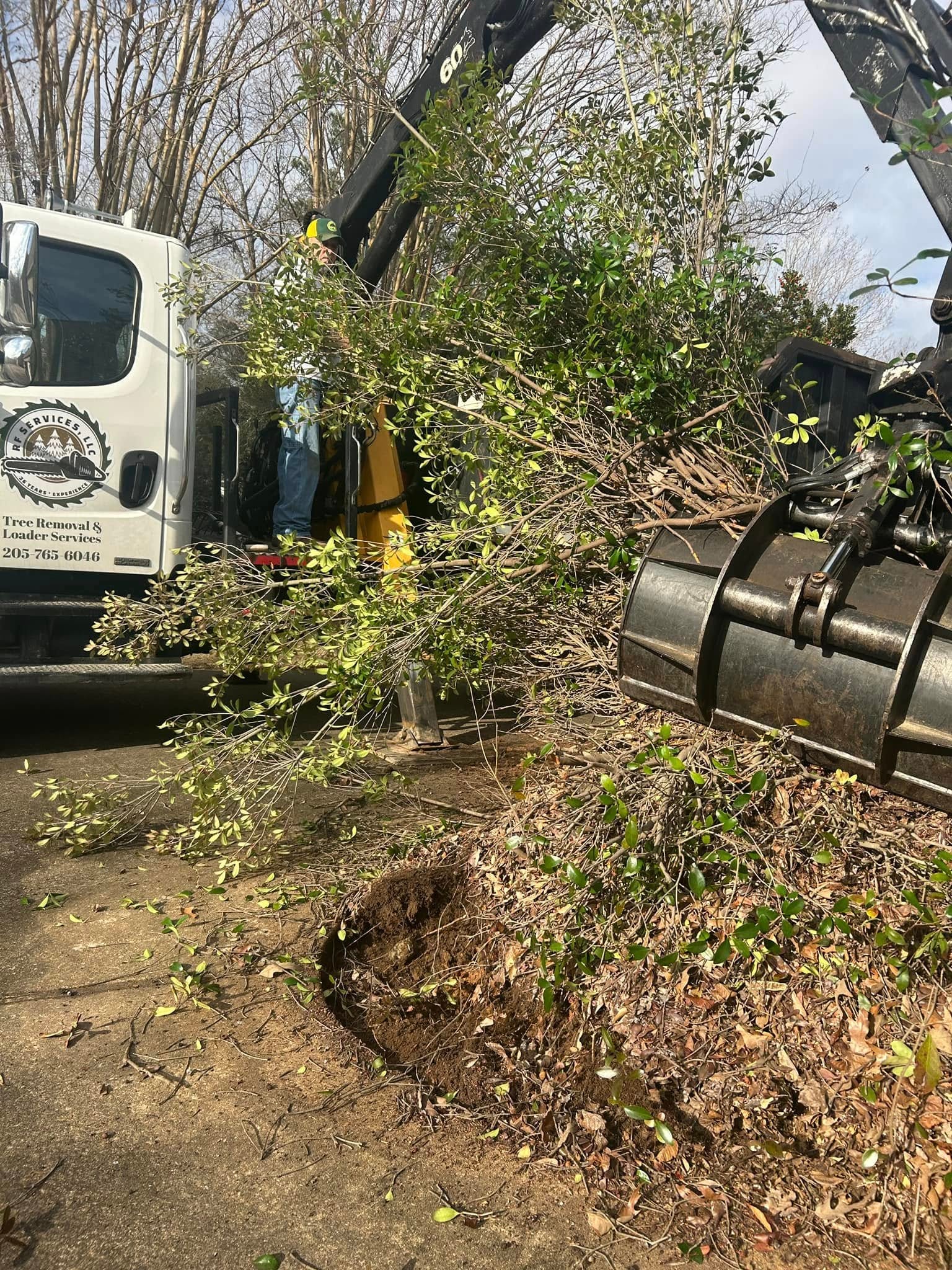 RF Services grapple loader uprooting large shrub