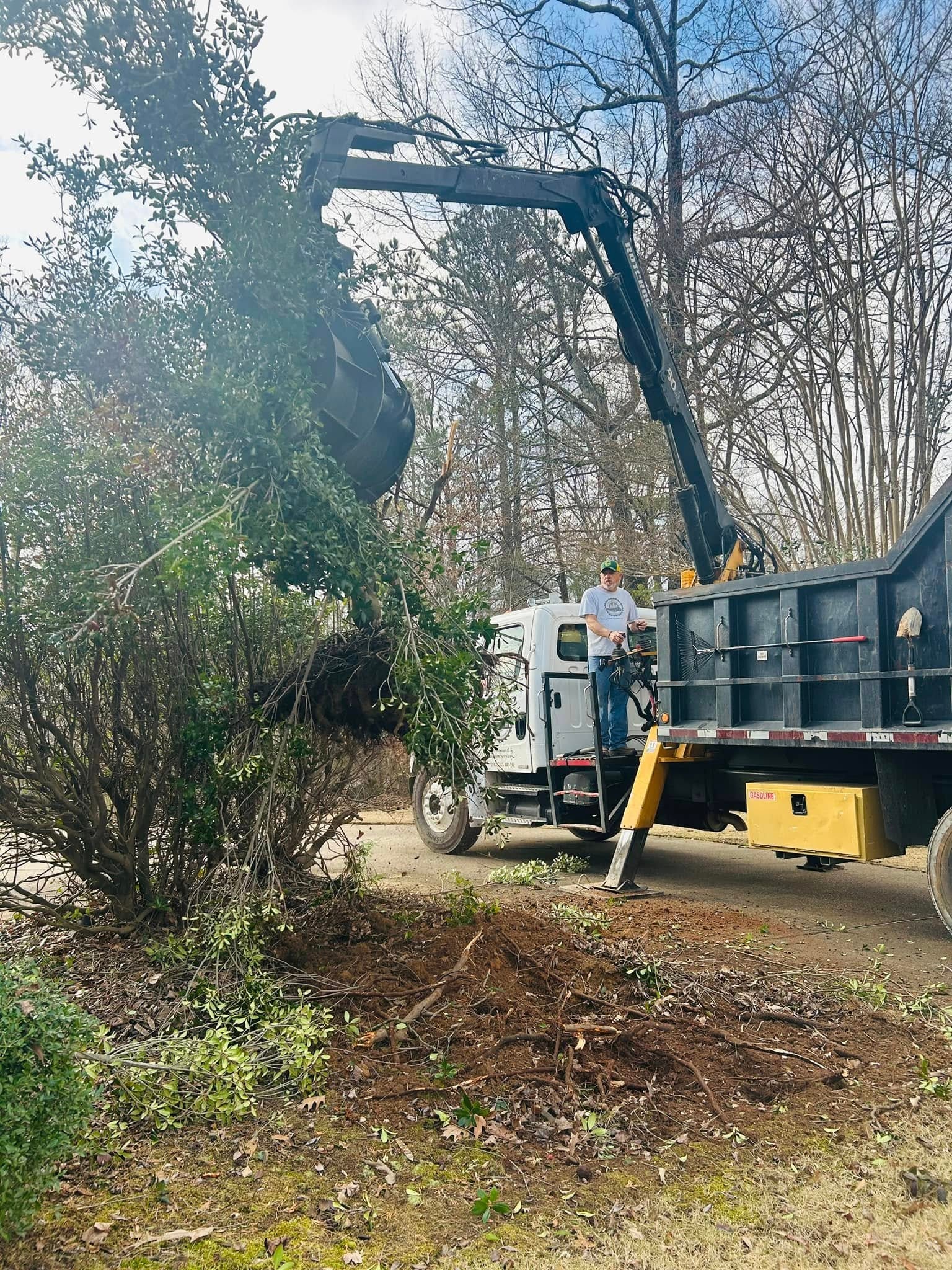 RF Services loader with grapple clearing heavy brush