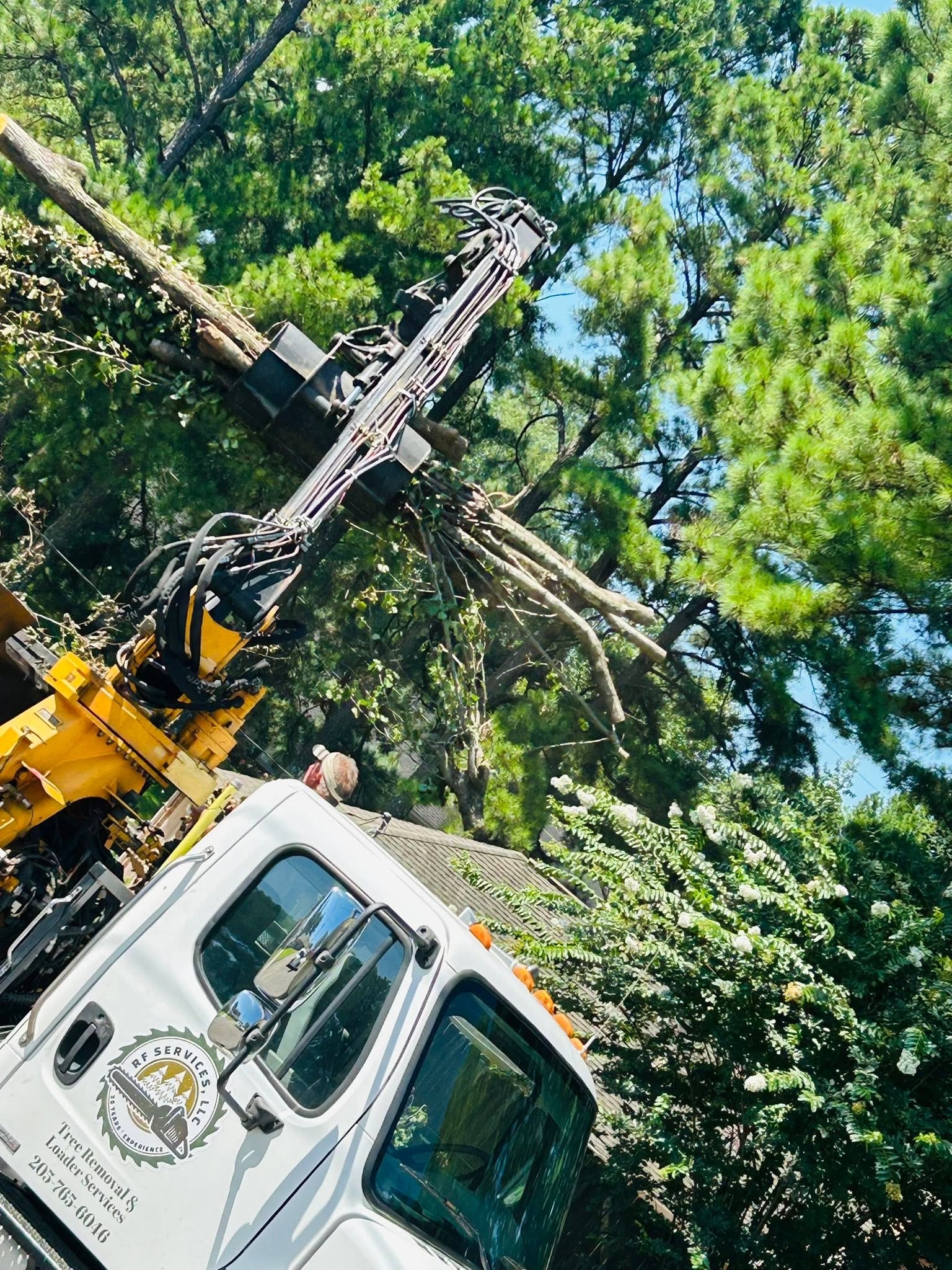 RF Services loader grapple lifting pine tree with branded truck below