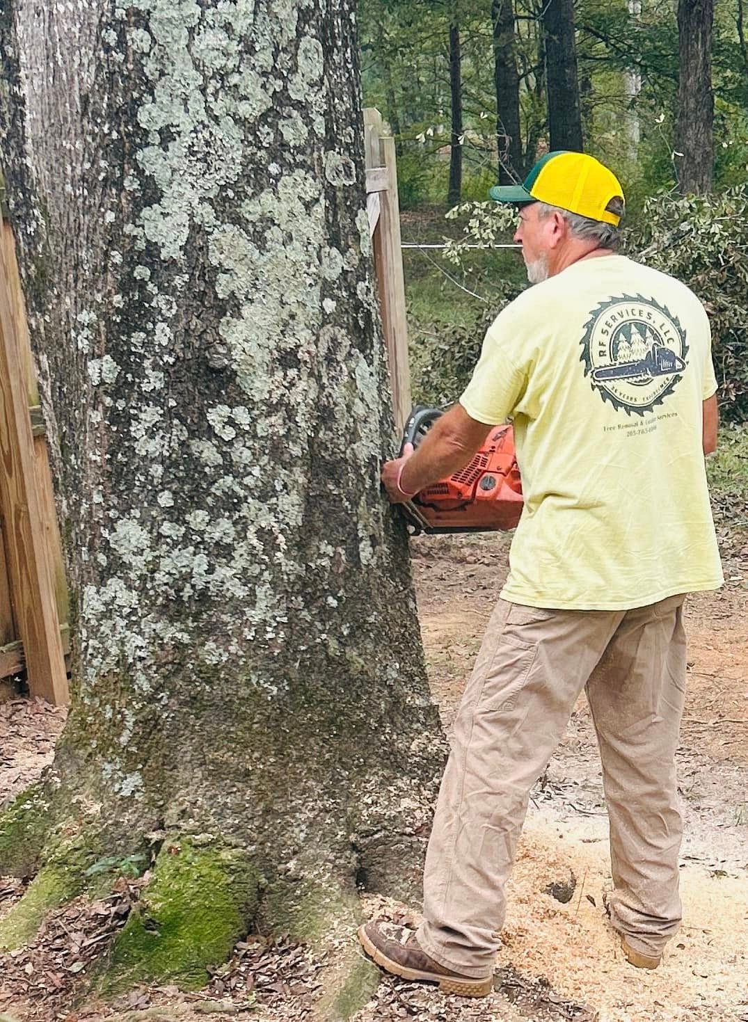 Tree Removal