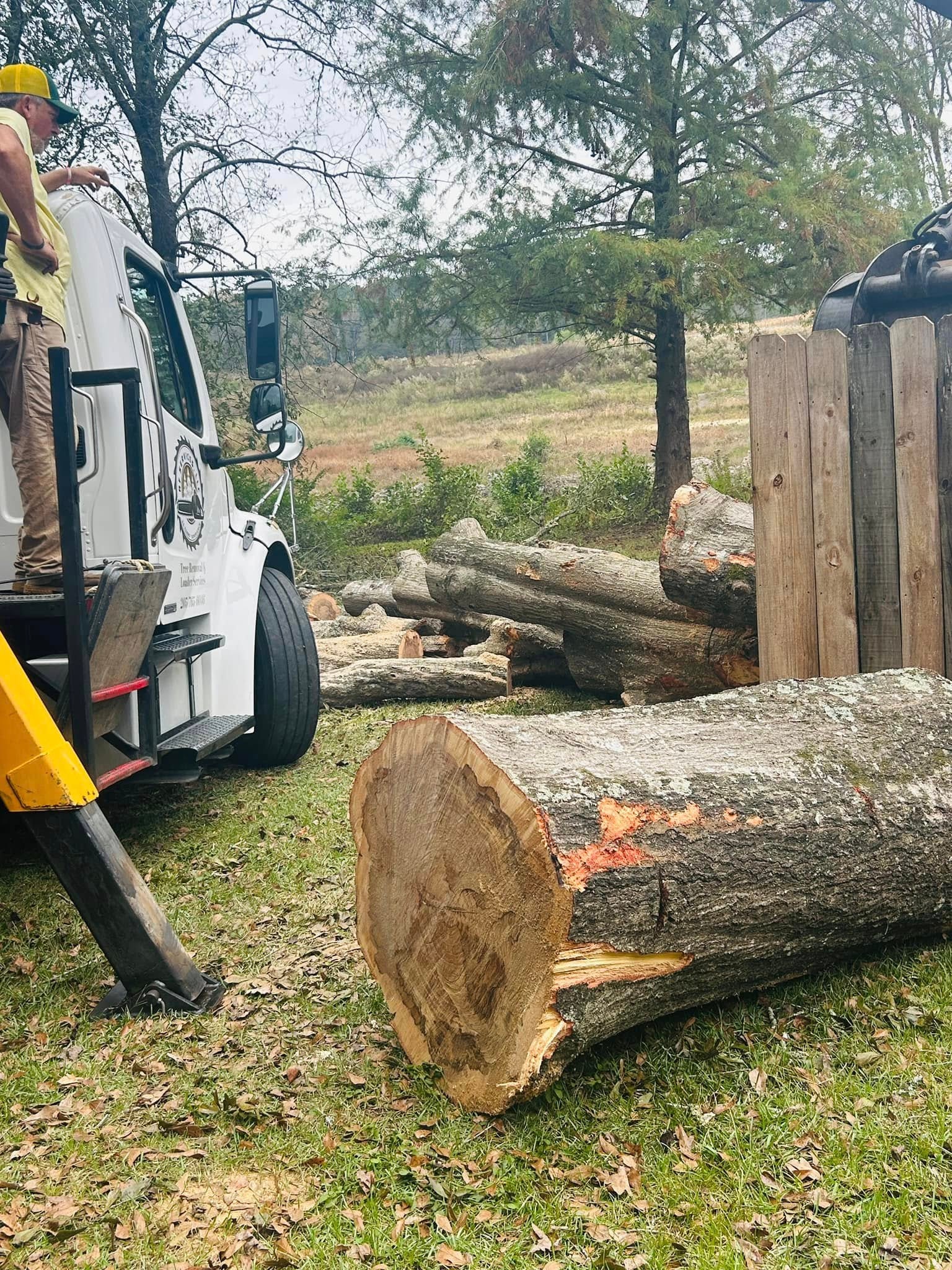 RF Services branded truck with large cut logs on job site