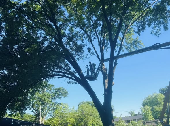 RF Services crew at work