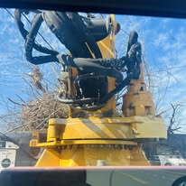 Heavy equipment tree work